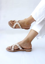 Load image into Gallery viewer, Aster Blush