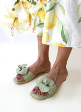 Load image into Gallery viewer, Petunia Pistachio