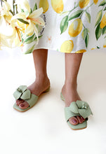 Load image into Gallery viewer, Petunia Pistachio